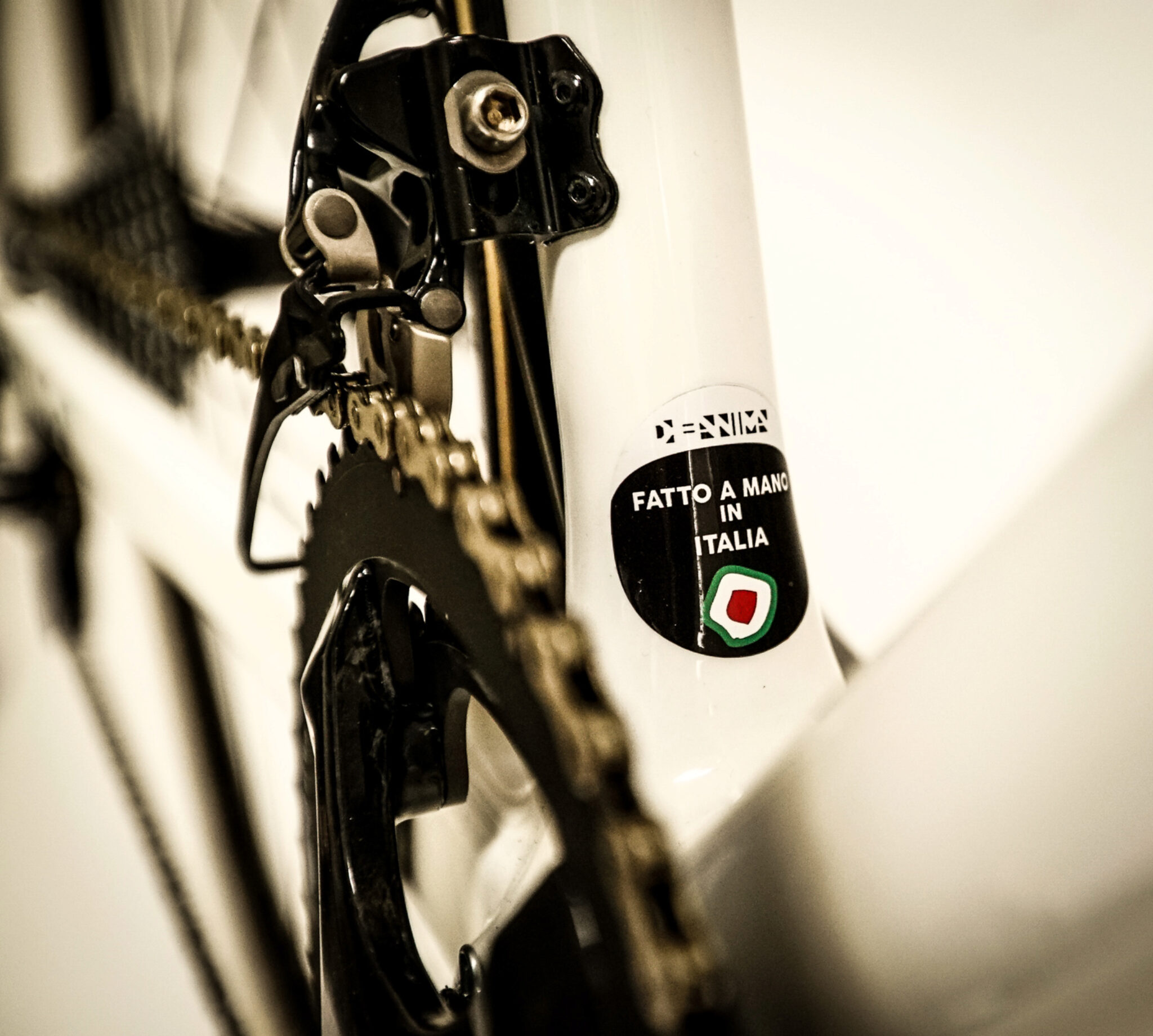 Dario Pegoretti Dream Bike Bici Da Corsa Custom