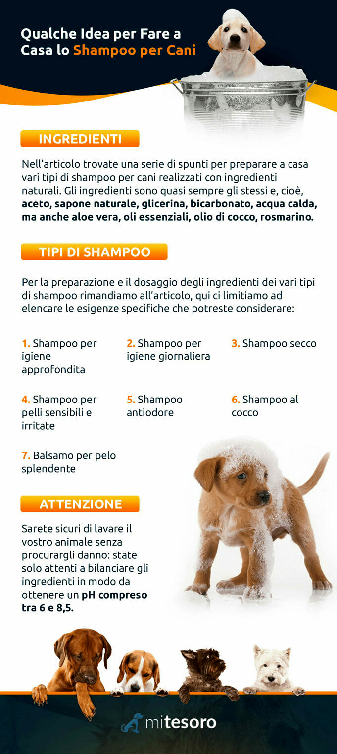 Detergenti Per Orecchie Per Cani Fatti In Casa Soluzioni Fai-da-te E Come Usarli