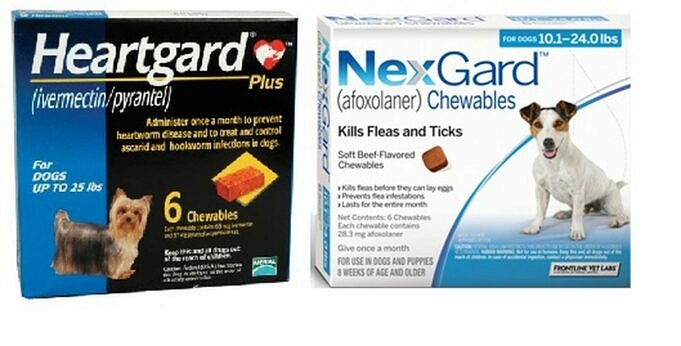 Nextgard Vs Prima Linea. Che è Migliore?