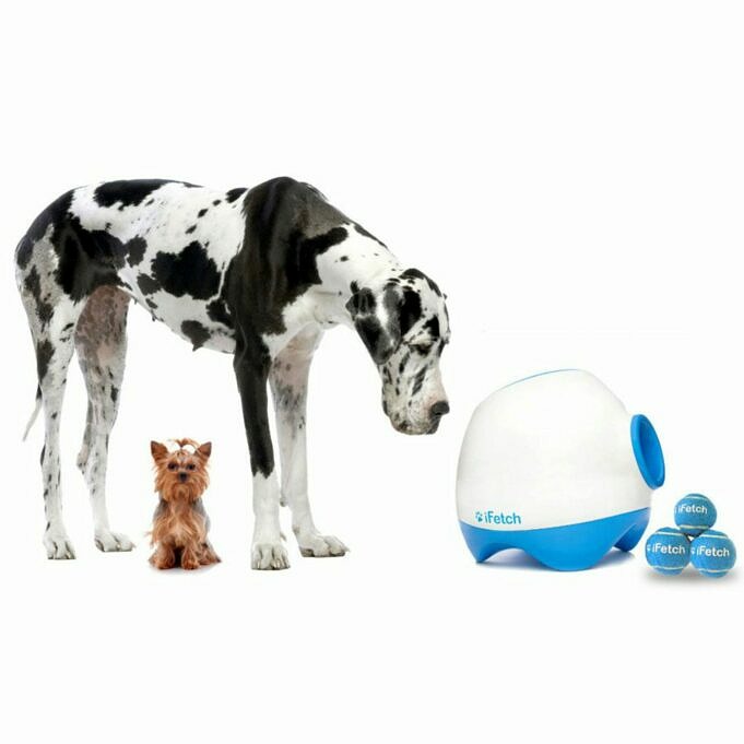 Recensione Dell'iFetch Interactive Ball Launcher For Dogs